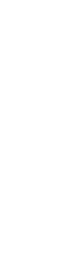 Bela Vista Desentupidora